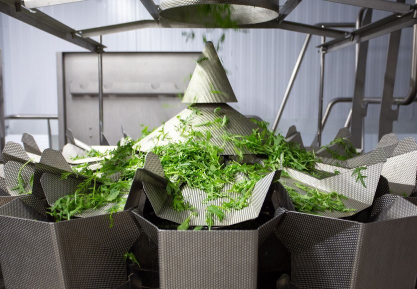 petr-magera-LjgdByZ8wYQ-unsplash petr-magera-LjgdByZ8wYQ-unsplash